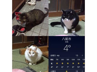 おはようございます。きょうも暖かい笑顔でよろしくお願いいたします。
