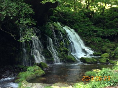 14日(日)15日(月)20(土)はお休み