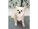 2016/3/10(木)