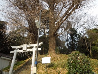 関口　水神社