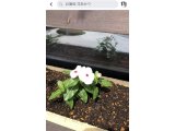 さてさて、ゴールデンウィーク明けの週末金曜日の旨いもんは…