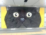渋谷駅構内に巨大な黒猫の看板が！