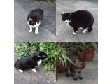 おはようございます。今週も明るい笑顔でよろしくお願いいたします。