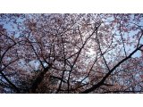 火の元に注意