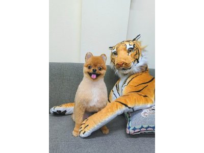 ラテくん