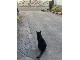 おはようございます。きょうもハッピーな笑顔で頑張りましょう。