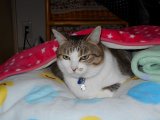 今年も一年お世話になりました。