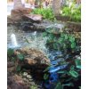 水道水が飲める国