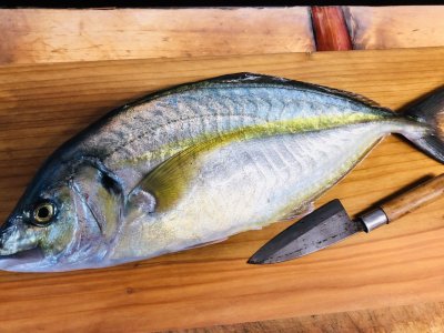 厳選食材ゲットしました