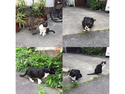 おはようございます。今週も元気な笑顔で頑張りましょう。