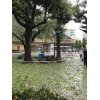池袋の雹