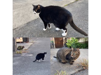 おはようございます。きょうも暖かい笑顔で頑張りましょう。