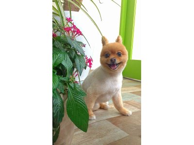 テラちゃん