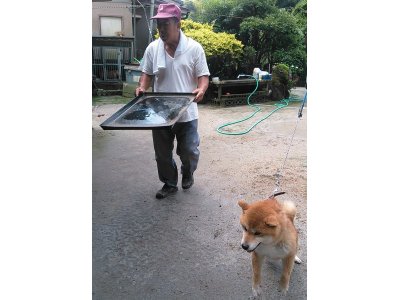 今年の梅雨は、メリハリが有りますね～