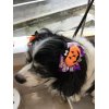 ハロウィン月間には…その3