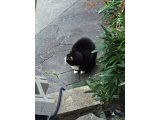 おはようございます。光療術院のはっぴぃ・みぃこです。