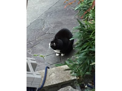 おはようございます。光療術院のはっぴぃ・みぃこです。