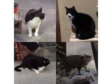 おはようございます。今日から新年スタートです。