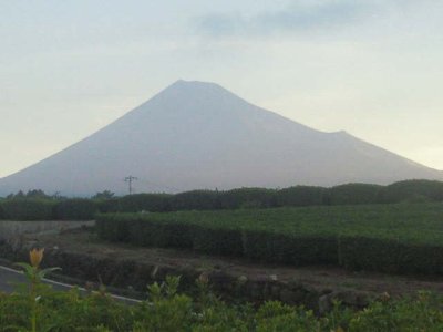 今日は土曜日