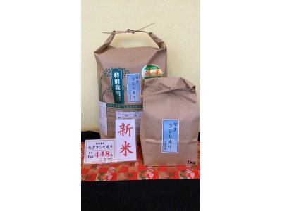 令和５年産　佐賀県産七夕コシヒカリ特別栽培米10ｋｇ