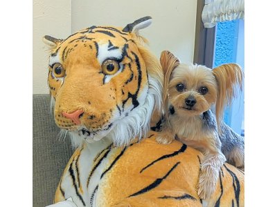 エディくん