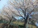 おはようございます