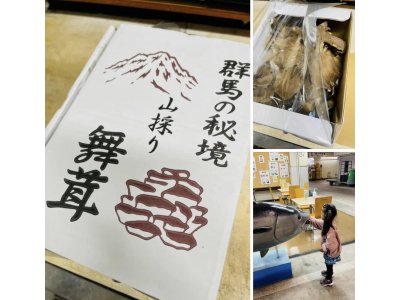 今日はしっかり営業いたします