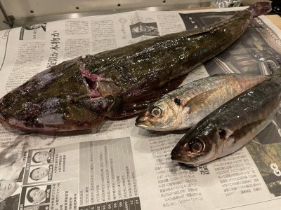 それは?センス。