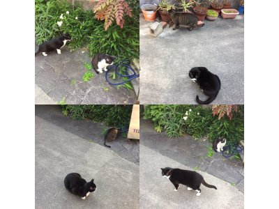おはようございます。きょうも元気な笑顔で頑張りましょう。