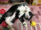 おはようございます。きょうも元気な笑顔でよろしくお願いいたします。