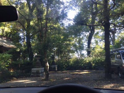 お墓参りに行ってきました(´・ω・`)