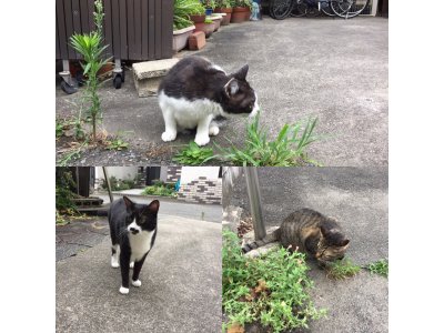 おはようございます。きょうもハッピーな笑顔でよろしくお願いいたします。