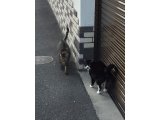 光線療法で感染症に負けない元気な毎日を