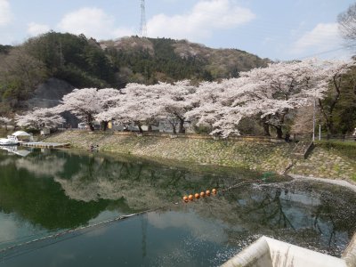 昨日の続き