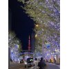 【平日23時まで開院の渋谷アクア整骨院！】交通事故治療◎労災保険◎健康保険◎治療は当院まで！
