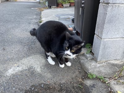 おはようございます。きょうもハッピーな笑顔で頑張りましょう。
