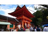 上賀茂神社です。