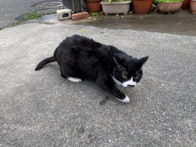 おはようございます。きょうも元気な笑顔で頑張りましょう。
