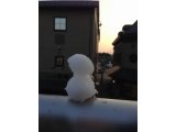 今月はやってこないんですね・・・。でもやります。