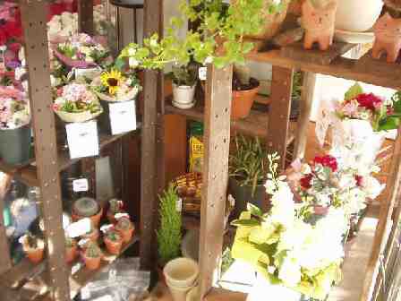 おしゃれな花束がいろいろ 西宮北口にあるおすすめのお花屋さんはここ Pathee パシー