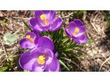 4月