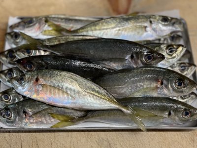 今日もサービス品用意しました