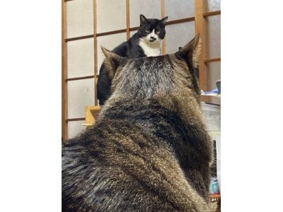 おはようございます。きょうも一日、元気な笑顔で頑張りまーす。