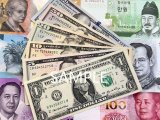 外貨両替も承ります!