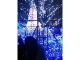 今年は