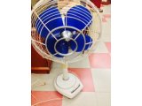 入荷しました