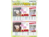 LEDランプ取替セール!!~コイズミ照明(株)より