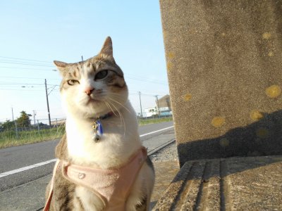 護身術教室のご案内