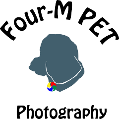 Four-M PET
