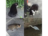 おはようございます。きょうも寒さに負けないホットな笑顔でよろしくお願いいたします。